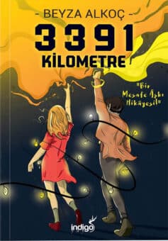 3391 Kilometre