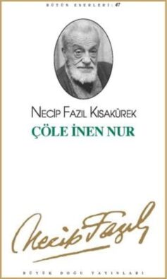 Çöle İnen Nur