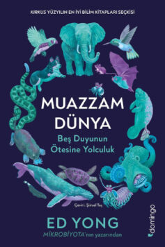 Muazzam Dünya: Beş Duyunun Ötesine Yolculuk